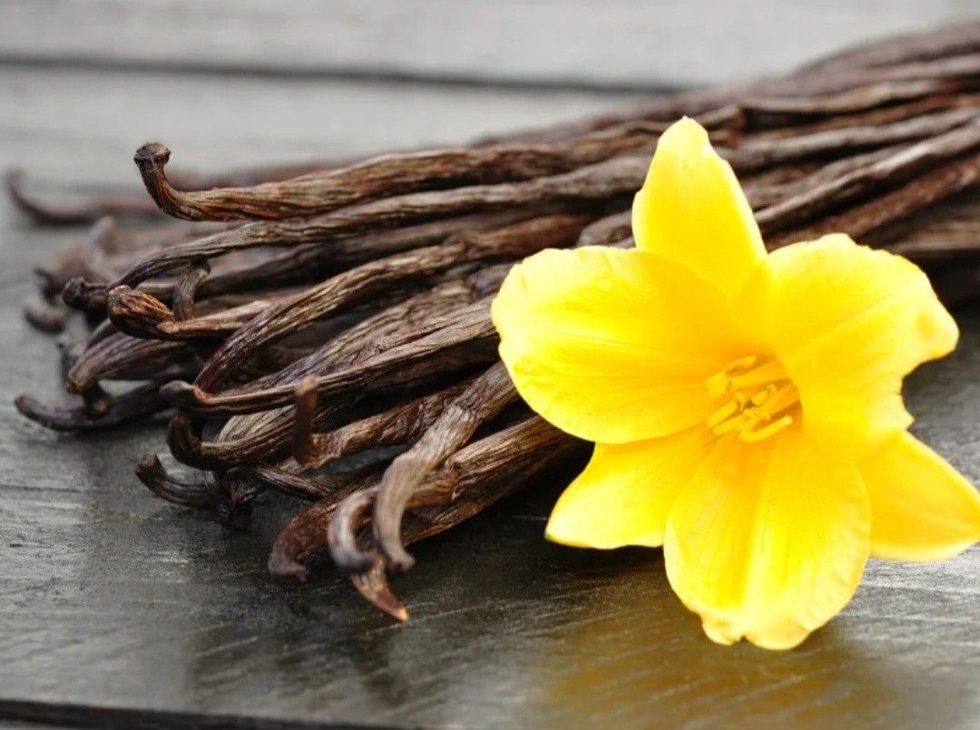 French vanilla beans 100g