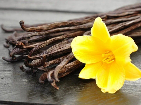 Indian Vanilla vs Madagascan Vanilla Beans – Flavor, Aroma & Quality Compared