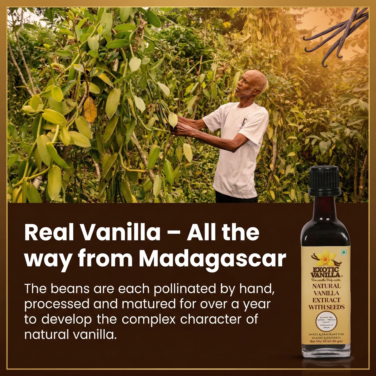 Exotic Vanilla Pure Vanilla Extract with Seeds, 60 ml (80 g) | Made with Real Madagascar Vanilla Beans | Alcohol-Free | Natural, Gluten Free, Non-GMO | For Baking & Cooking