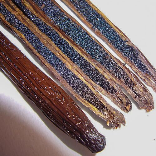 Exotic Vanilla Uganda Vanilla Beans,100g | Gourmet Grade | 15–20 cm Length | Naturally Plump, Oily & Aromatic | For Baking, Desserts & Vanilla Extract