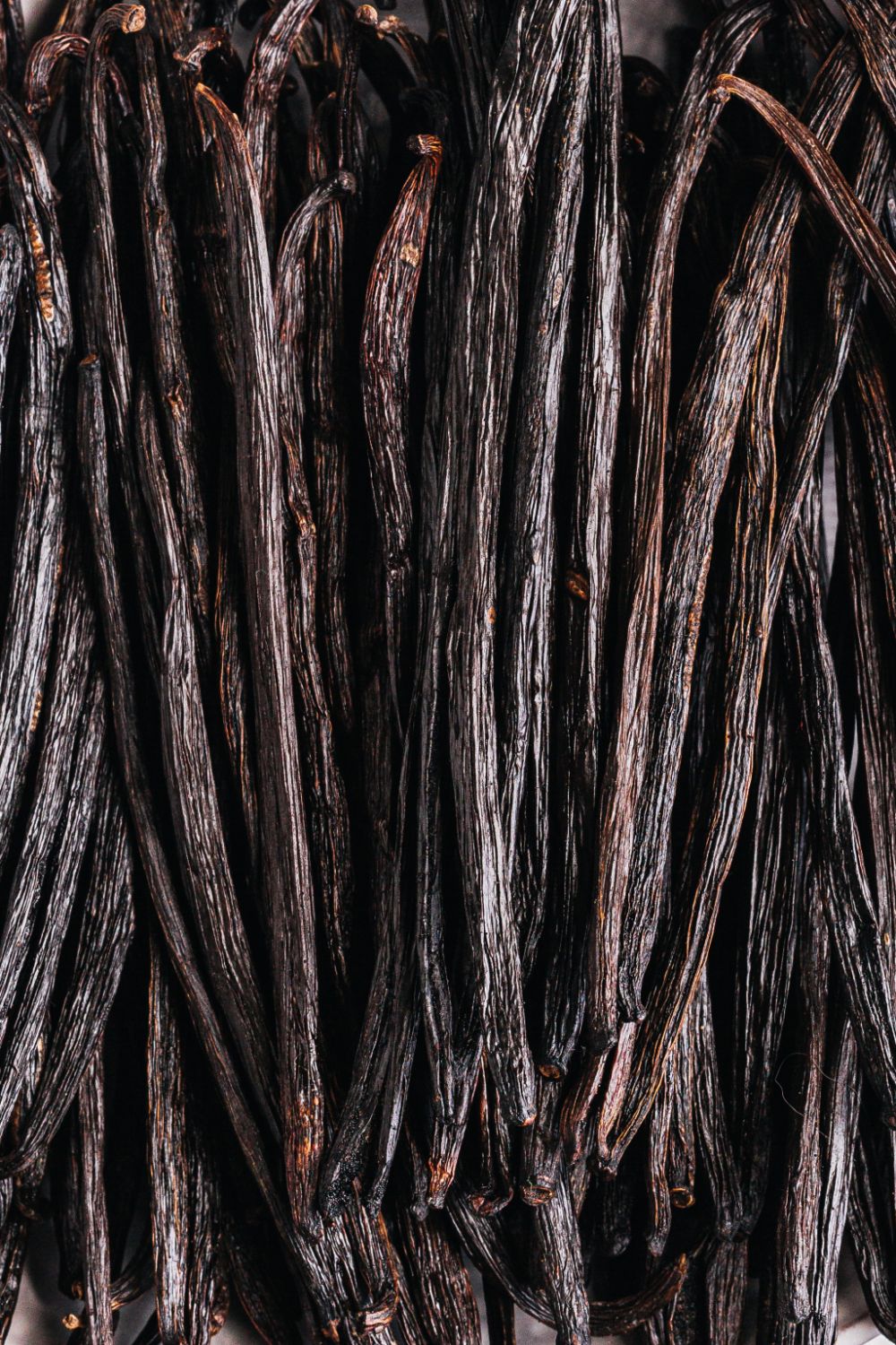 French vanilla beans 100g