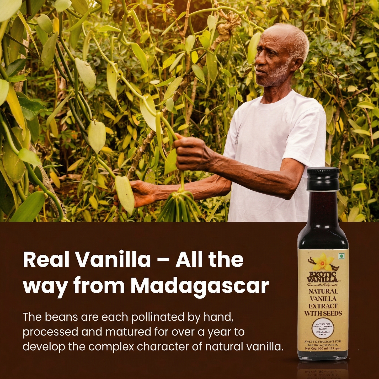 Exotic Vanilla Pure Vanilla Extract with Seeds, 100 ml (135 g) | Made with Real Madagascar Vanilla Beans | Alcohol-Free | Natural, Gluten Free, Non-GMO | For Baking & Cooking