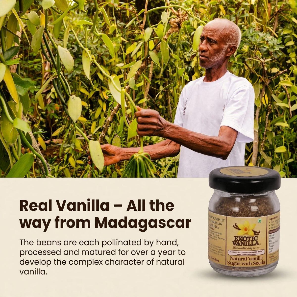 Vanilla Extract with Seeds,60 ml (80 g)