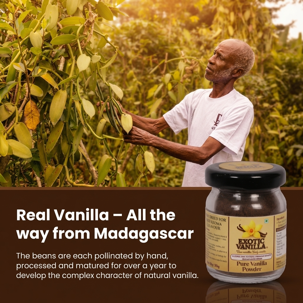 Exotic Vanilla Gourmet Vanilla Powder with Seeds, 30 g | Rich Aroma & Natural Vanilla Specks | Pure & Natural | Ideal for Baking & Confectionery