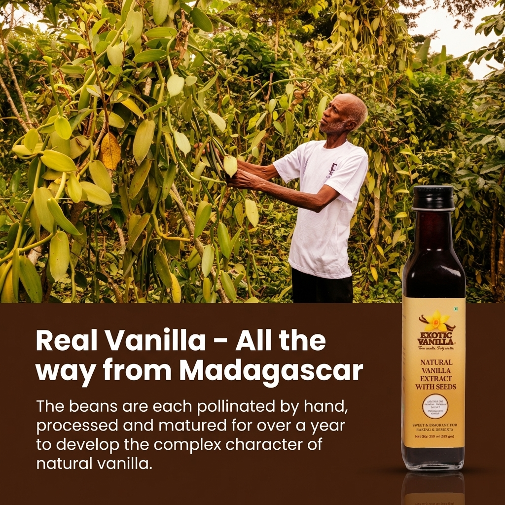 Exotic Vanilla Pure Vanilla Extract with Seeds, 250 ml (335 g) | Made with Real Madagascar Vanilla Beans | Alcohol-Free | Natural, Gluten Free, Non-GMO | For Baking & Cooking