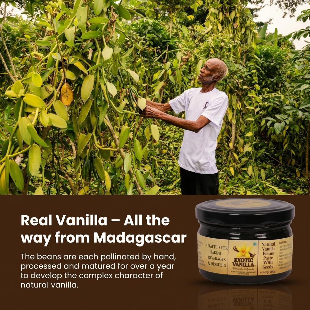 Exotic Vanilla Pure Vanilla Paste with Seeds, 250 g | Made with Real Vanilla Beans | Rich & Concentrated | Alcohol-Free | Gluten Free, Non-GMO | For Baking & Desserts