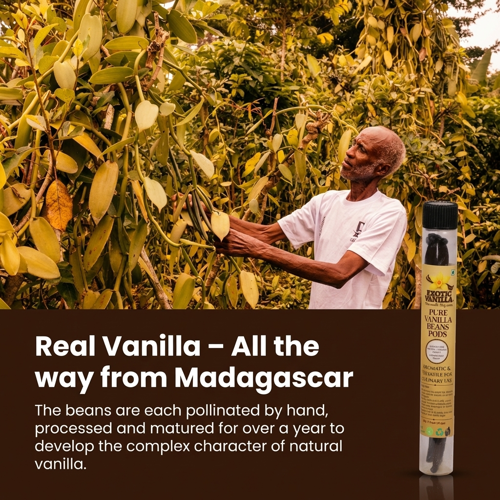 Exotic Madagascar Vanilla Beans, 3 Pods | Gourmet Grade | 16–21 cm Length | Naturally Plump, Oily & Aromatic | For Baking, Desserts & Vanilla Extract